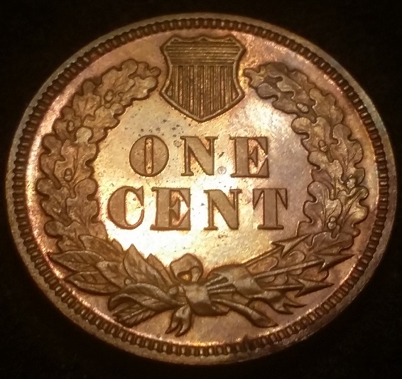 My-New-Find-1895-Proof-Indian-Cent-Snow-1-FS-301